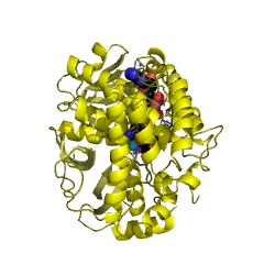 Example Structure of maltose-6'-phosphate glucosidase EC#: 3.2.1.122