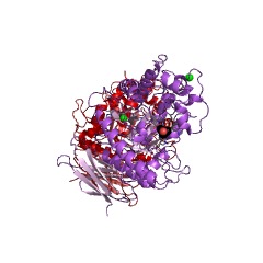 Example Structure of endoglycosylceramidase EC#: 3.2.1.123