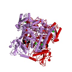 Example Structure of xylan alpha-1,2-glucuronosidase EC#: 3.2.1.131
