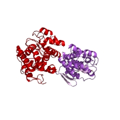 Example Structure of chitosanase EC#: 3.2.1.132