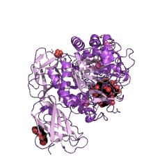Example Structure of glucan 1,4-alpha-maltohydrolase EC#: 3.2.1.133