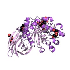 Example Structure of glucuronoarabinoxylan endo-1,4-beta-xylanase EC#: 3.2.1.136
