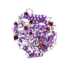 Example Structure of alpha-glucuronidase EC#: 3.2.1.139