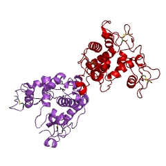 Example Structure of chitinase EC#: 3.2.1.14