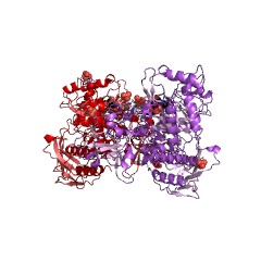 Example Structure of lacto-N-biosidase EC#: 3.2.1.140
