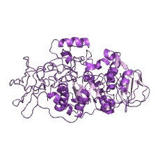 Example Structure of 4-alpha-D-{(1-></noscript>4)-alpha-D-glucano}trehalose trehalohydrolase EC#: 3.2.1.141″ /></td>
</tr>
<tr>
<td>Synonyms</td>
<td>4-alpha-D-{(1->4)-alpha-D-glucano}trehalose trehalohydrolase, BvMTH, glycosyltrehalose trehalohydrolase, GTHase, malto-oligosyltrehalose trehalohydrolase, maltooligosyl trehalose tetrahydrolase, Maltooligosyl trehalose trehalohydrolase, maltooligosyl trehalose trehalohydrolase (Rhizobium strain M-11 clone pMBTU1 gene treZ reduced), maltooligosyltrehalose trehalohydrolase, maltooligosyltrehalose trehalosidase, MhMTH, MTH, MTHase, trehalosidase, maltooligosyltrehalose, trehalosidase, maltooligosyltrehalose (Rhizobium strain M-11 clone pBMTU1 gene treZ reduced), TreZ</td>
</tr>
<tr>
<td>EC Number</td>
<td>3.2.1.141</td>
</tr>
<tr>
<td>CAS Registry Number</td>
<td>170780-50-4;176431-02-0</td>
</tr>
<tr>
<td>Comments</td>
<td></td>
</tr>
<tr>
<td>Cofactor</td>
<td></td>
</tr>
<tr>
<td>History</td>
<td></td>
</tr>
<tr>
<td>Reactions</td>
<td>Hydrolysis of (1->4)-alpha-D-glucosidic linkage in 4-alpha-D-((1->4)- alpha-D-glucanosyl)(n) trehalose to yield trehalose and (1->4)-alpha-D- glucan.</td>
</tr>
</tbody>
</table>
</figure>
<!-- Developer mode initialization; Version: 1.2.9;Relation: tags; All categories: 1;No taxonomy terms to get posts;Plugin execution time: 0.00040197372436523 sec; --><!-- CONTENT END 1 -->
        
<table>
<tr><td colspan=