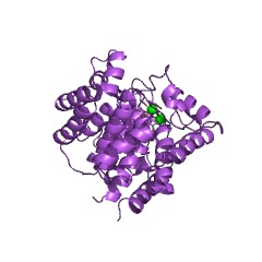 Example Structure of poly(ADP-ribose) glycohydrolase EC#: 3.2.1.143