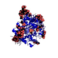 Example Structure of thioglucosidase EC#: 3.2.1.147