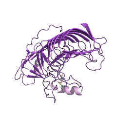 Example Structure of endo-polygalacturonase EC#: 3.2.1.15