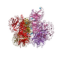 Example Structure of xyloglucan-specific endo-beta-1,4-glucanase EC#: 3.2.1.151
