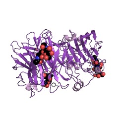 Example Structure of fructan beta-(2,1)-fructosidase EC#: 3.2.1.153