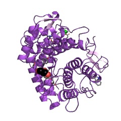 Example Structure of oligosaccharide reducing-end xylanase EC#: 3.2.1.156