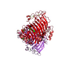 Example Structure of iota-carrageenase EC#: 3.2.1.157