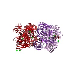 Example Structure of exo-1,4-beta-D-glucosaminidase EC#: 3.2.1.165