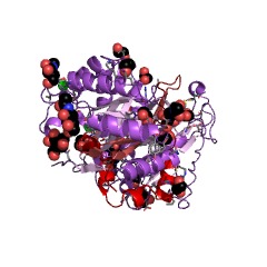 Example Structure of heparanase EC#: 3.2.1.166
