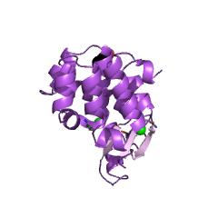 Example Structure of lysozyme EC#: 3.2.1.17