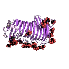 Example Structure of rhamnogalacturonan hydrolase EC#: 3.2.1.171