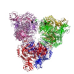 Example Structure of alpha-D-xyloside xylohydrolase EC#: 3.2.1.177