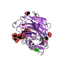 Example Structure of beta-porphyranase EC#: 3.2.1.178