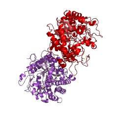 Example Structure of 4-hydroxy-7-methoxy-3-oxo-3,4-dihydro-2H-1,4-benzoxazin-2-yl glucoside beta-D-glucosidase EC#: 3.2.1.182