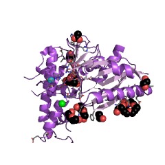 Example Structure of UDP-N-acetylglucosamine 2-epimerase (hydrolysing) EC#: 3.2.1.183