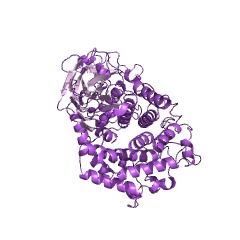 Example Structure of non-reducing end beta-L-arabinofuranosidase EC#: 3.2.1.185