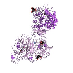 Example Structure of (Ara-f)3-Hyp beta-L-arabinobiosidase EC#: 3.2.1.187