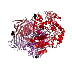 Example Structure of sulfoquinovosidase EC#: 3.2.1.199
