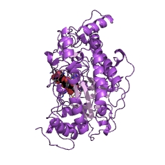 Example Structure of beta-amylase EC#: 3.2.1.2