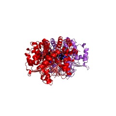 Example Structure of alpha-glucosidase EC#: 3.2.1.20