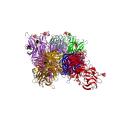 Example Structure of beta-fructofuranosidase EC#: 3.2.1.26