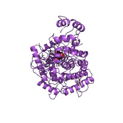 Example Structure of alpha,alpha-trehalase EC#: 3.2.1.28