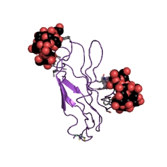 Example Structure of glucan 1,4-alpha-glucosidase EC#: 3.2.1.3