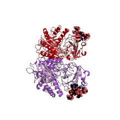 Example Structure of beta-glucuronidase EC#: 3.2.1.31