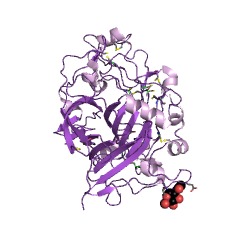 Example Structure of cellulase EC#: 3.2.1.4