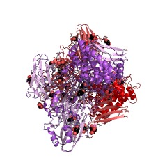 Example Structure of alpha-L-rhamnosidase EC#: 3.2.1.40