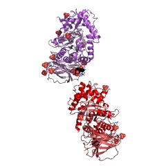 Example Structure of glucosylceramidase EC#: 3.2.1.45