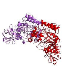 Example Structure of alpha-L-fucosidase EC#: 3.2.1.51