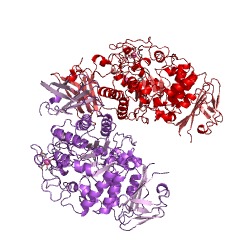 Example Structure of cyclomaltodextrinase EC#: 3.2.1.54
