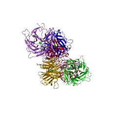 Example Structure of non-reducing end alpha-L-arabinofuranosidase EC#: 3.2.1.55