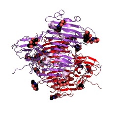 Example Structure of isopullulanase EC#: 3.2.1.57
