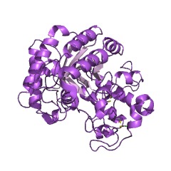 Example Structure of glucan 1,3-beta-glucosidase EC#: 3.2.1.58