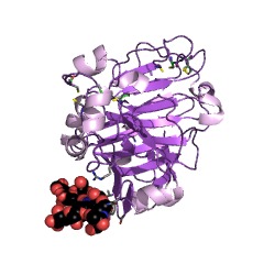 Example Structure of endo-1,3(4)-beta-glucanase EC#: 3.2.1.6