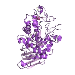 Example Structure of glucan 1,4-alpha-maltotetraohydrolase EC#: 3.2.1.60