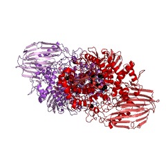 Example Structure of 1,2-alpha-L-fucosidase EC#: 3.2.1.63