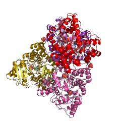 Example Structure of galacturan 1,4-alpha-galacturonidase EC#: 3.2.1.67
