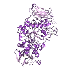 Example Structure of isoamylase EC#: 3.2.1.68