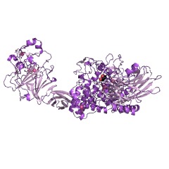Example Structure of glucan 1,6-alpha-glucosidase EC#: 3.2.1.70
