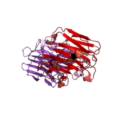 Example Structure of licheninase EC#: 3.2.1.73