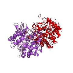 Example Structure of glucan 1,4-beta-glucosidase EC#: 3.2.1.74